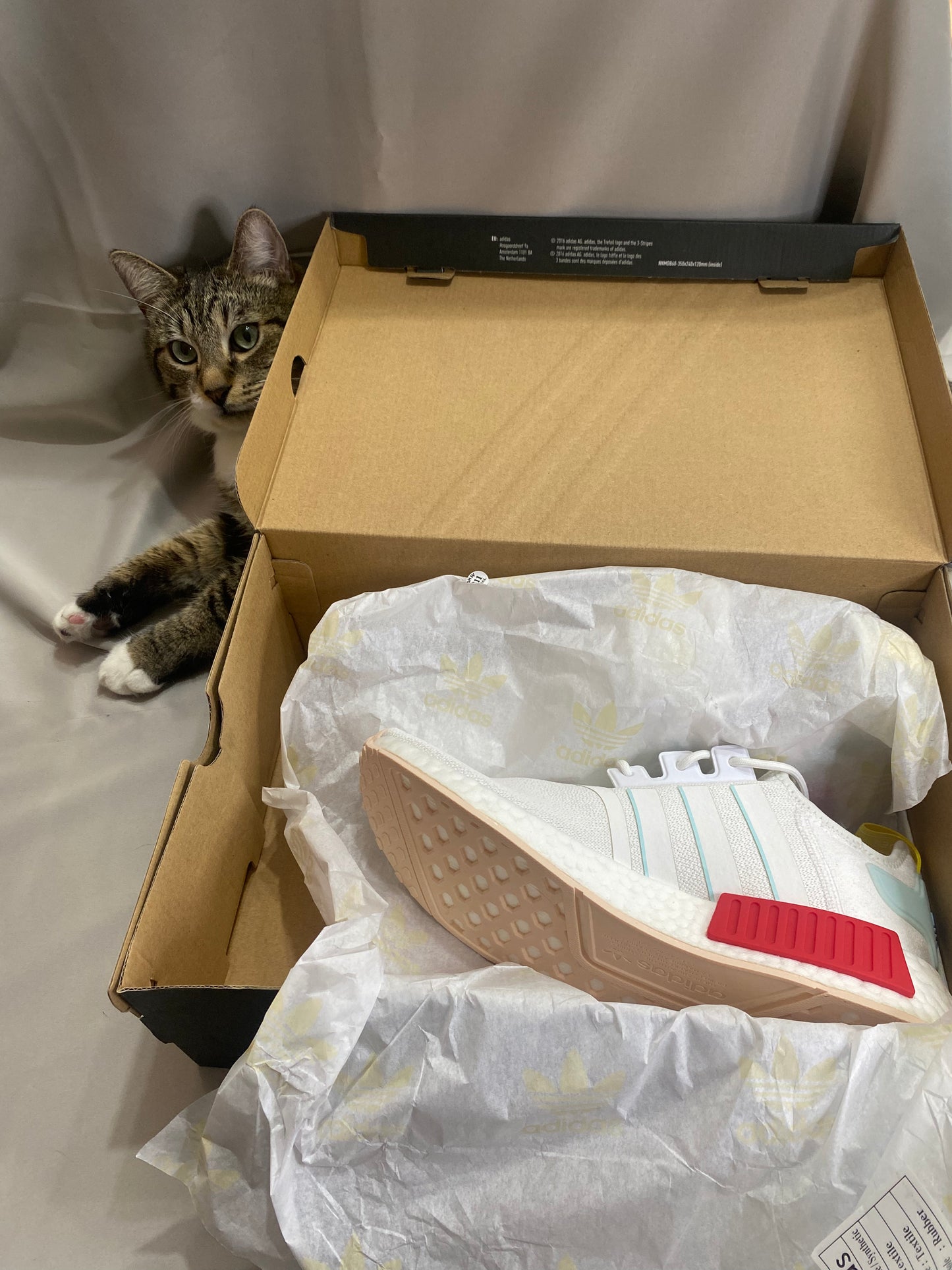 Wmns NMD_R1 'White Almost Blue'