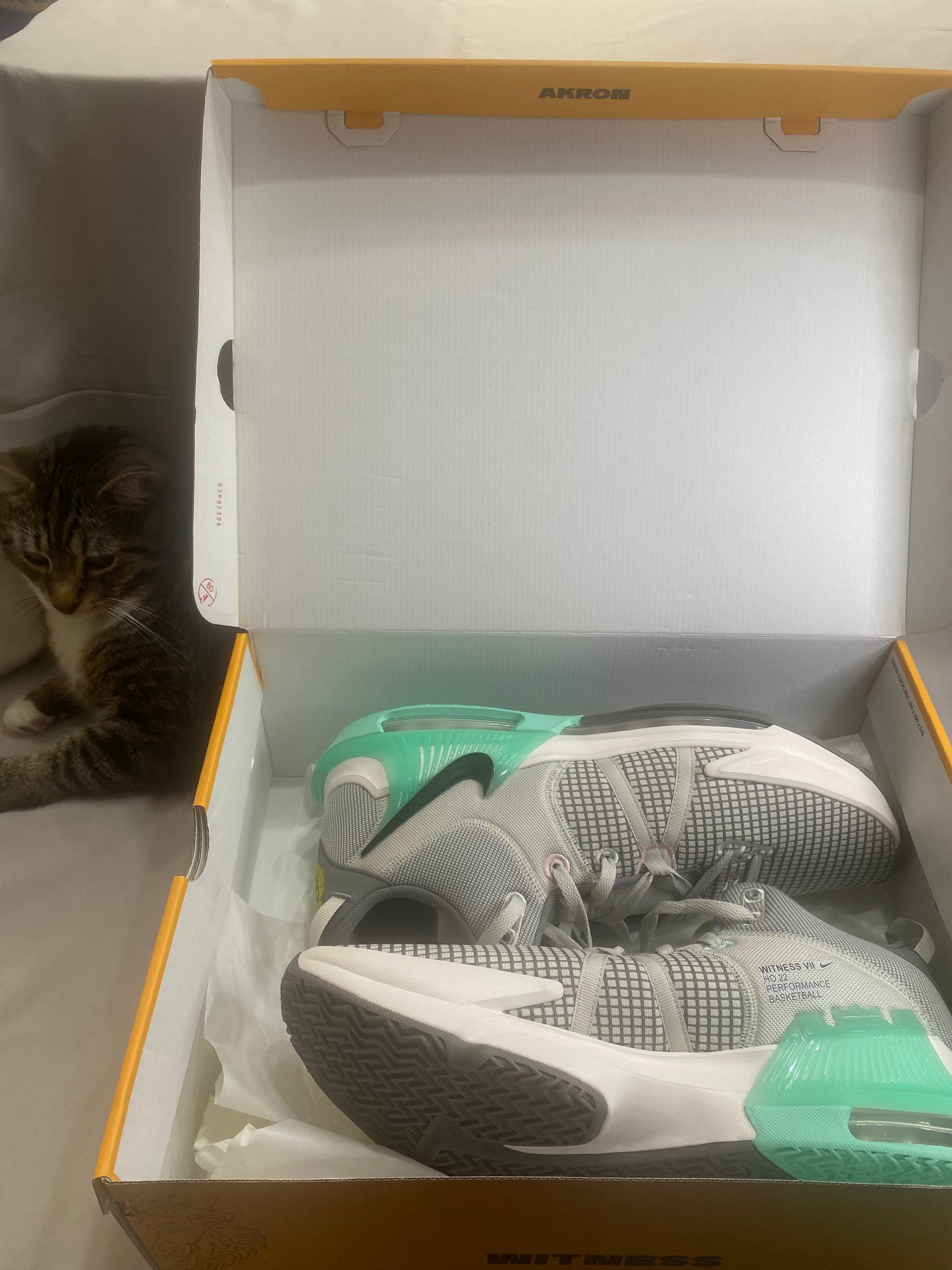 LeBron Witness 7 'Flat Pewter Mint'