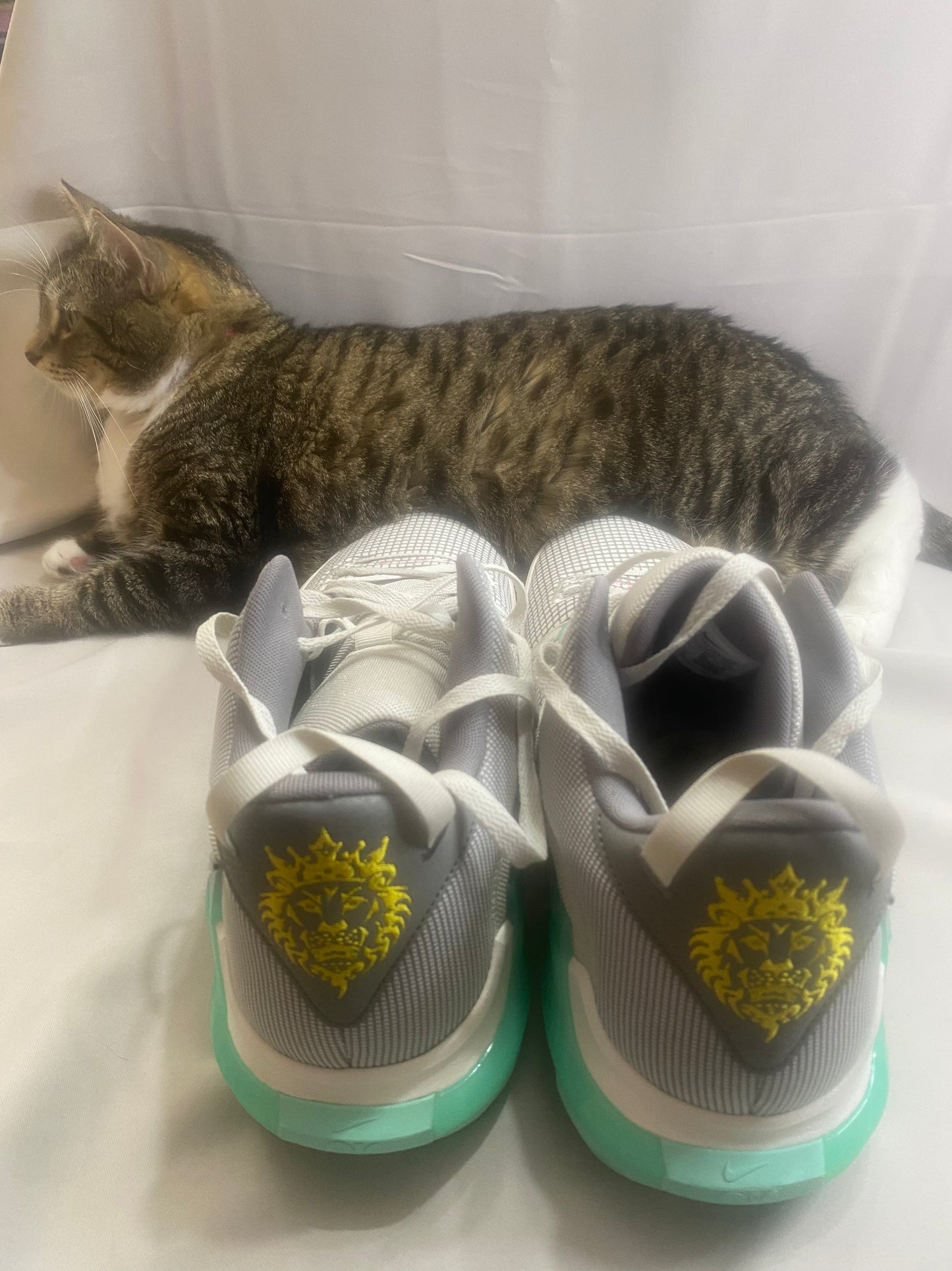 LeBron Witness 7 'Flat Pewter Mint'