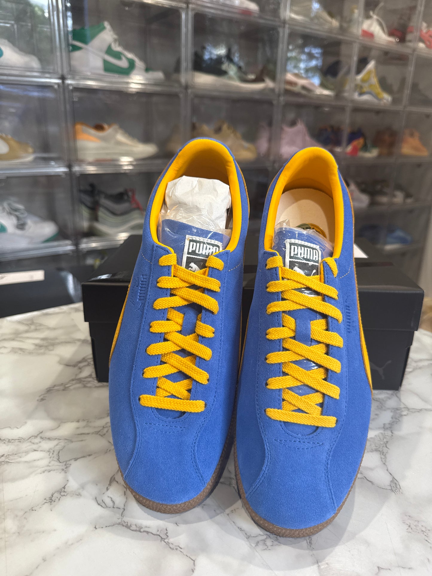Brasil 'Vivid Blue Tangerine'