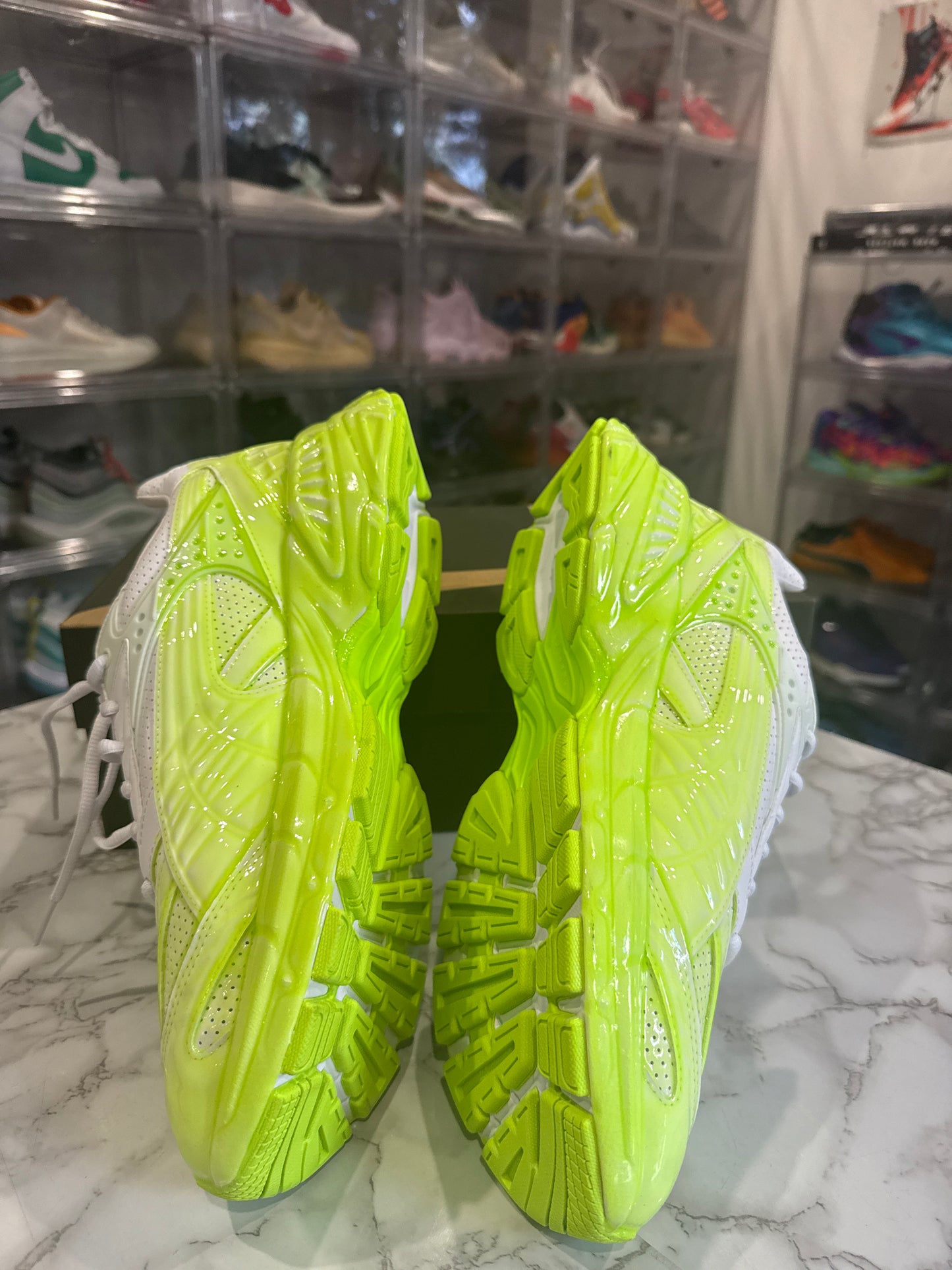 Velophasis 'Slime'