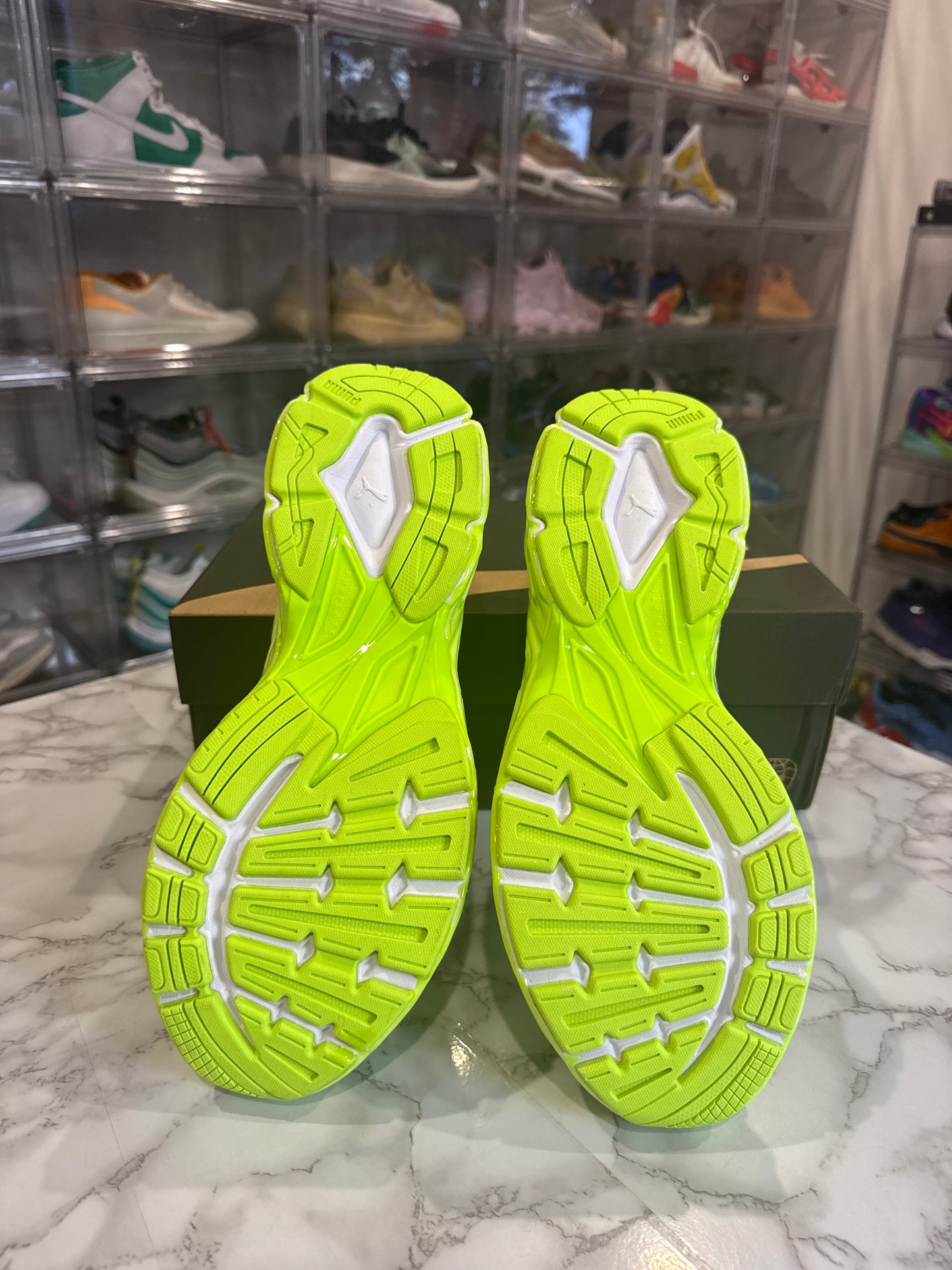 Velophasis 'Slime'