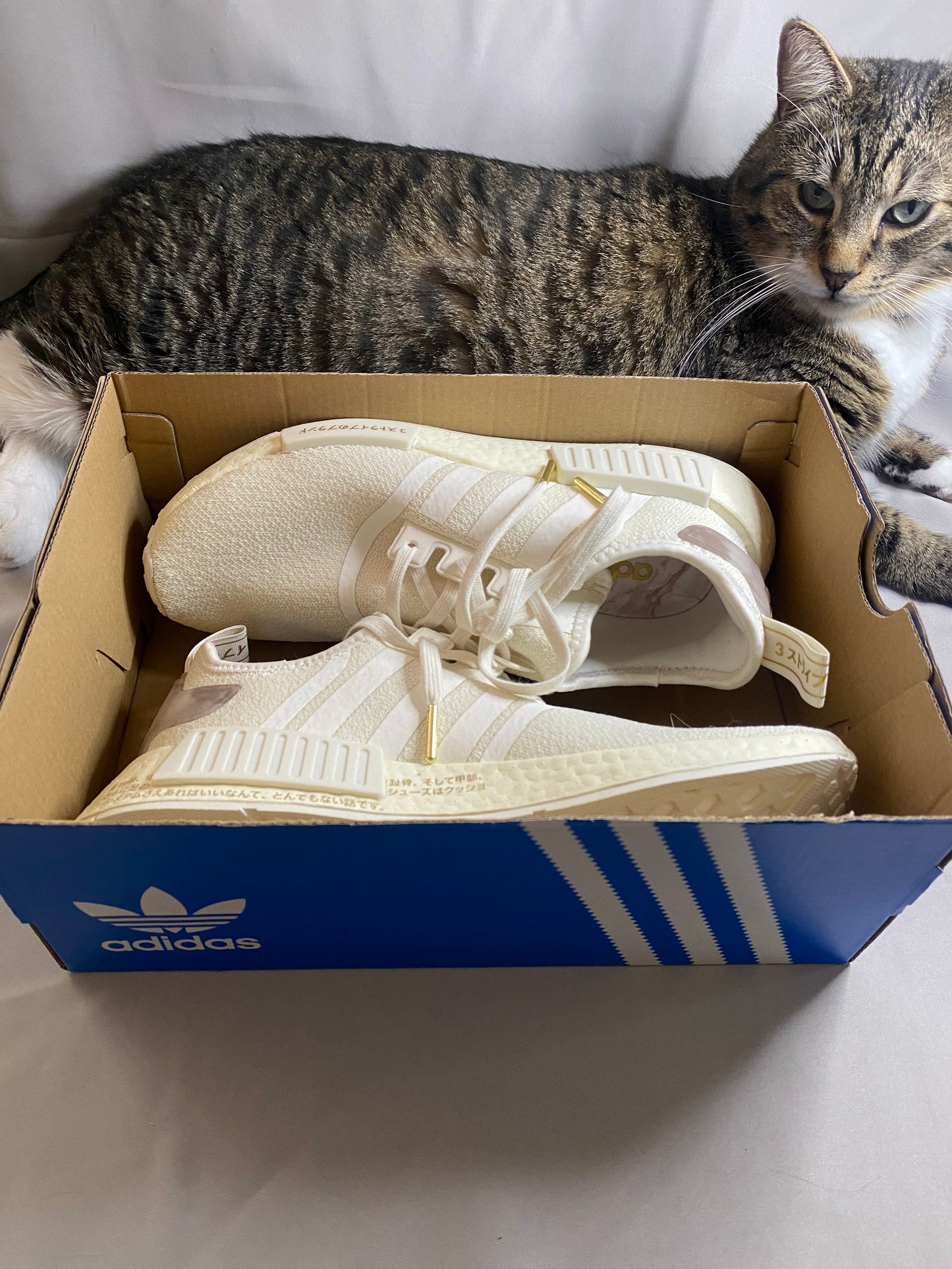 Wmns NMD_R1