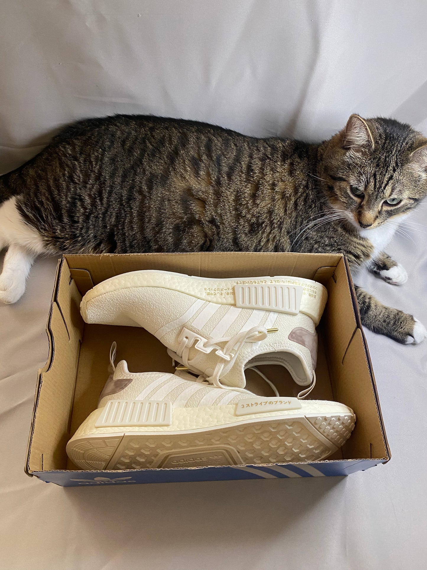 Wmns NMD_R1
