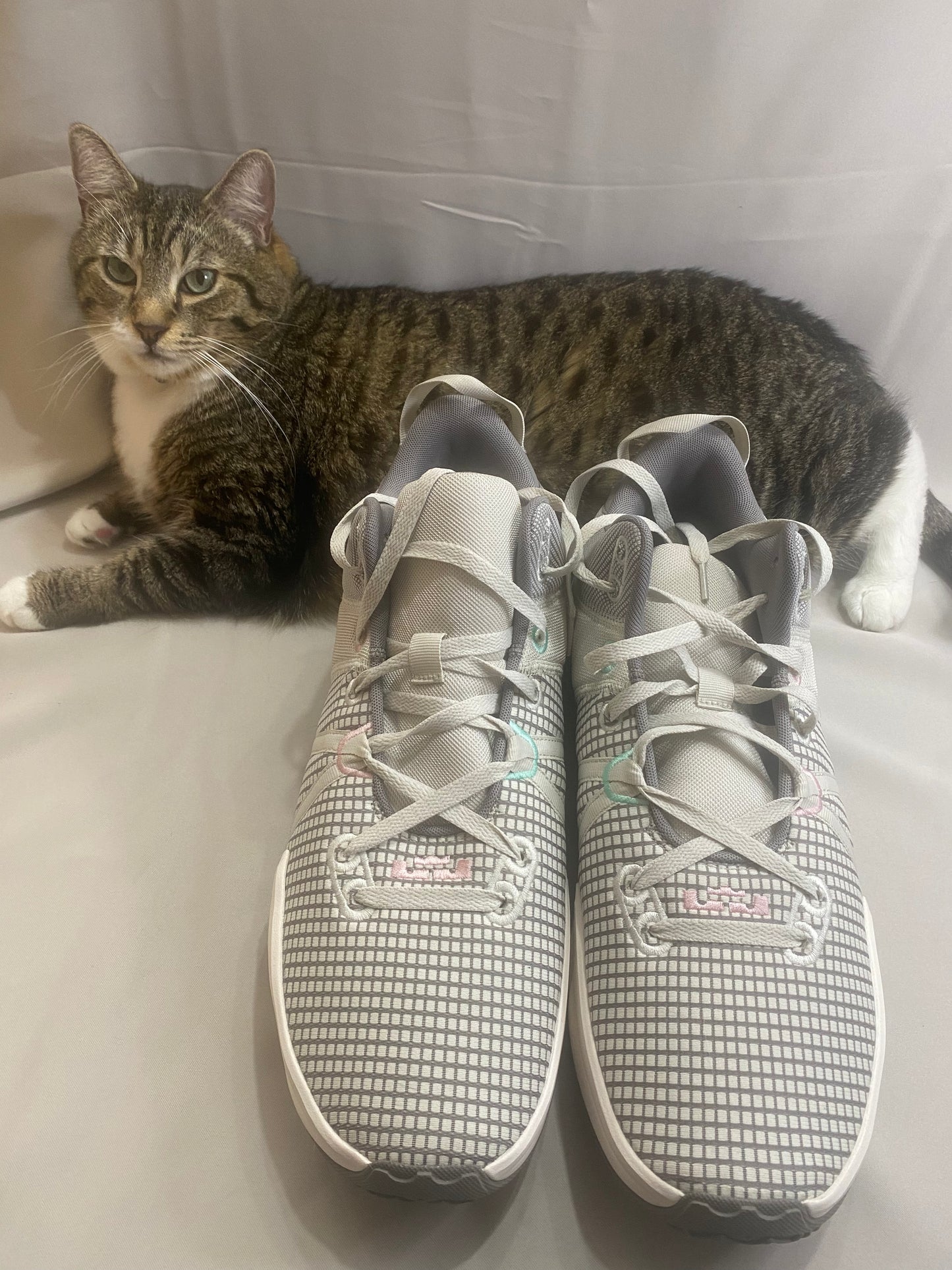LeBron Witness 7 'Flat Pewter Mint'