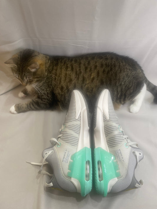 LeBron Witness 7 'Flat Pewter Mint'