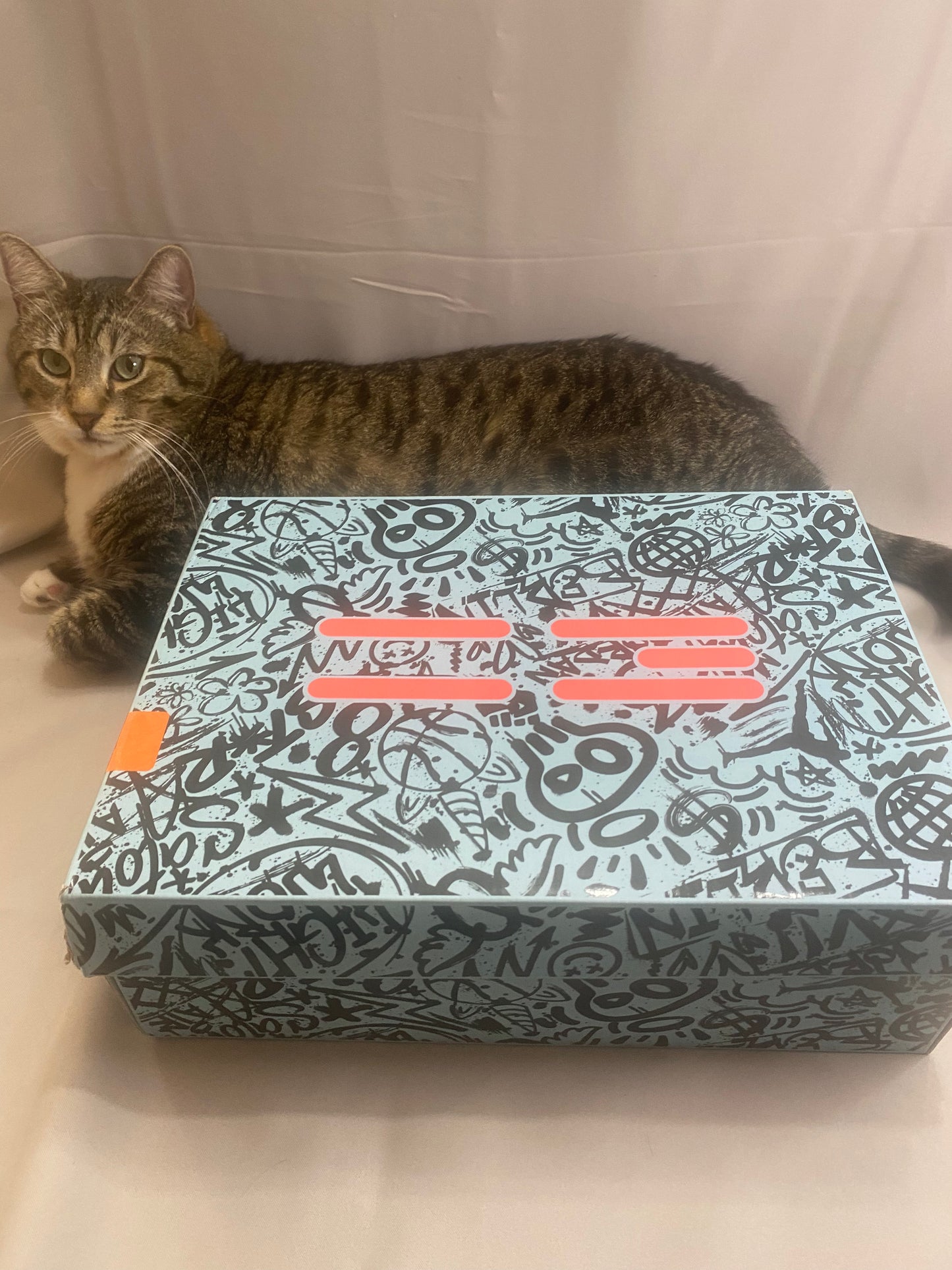 Satou Sabally x Wmns Air Jordan 37 'Grafitti'