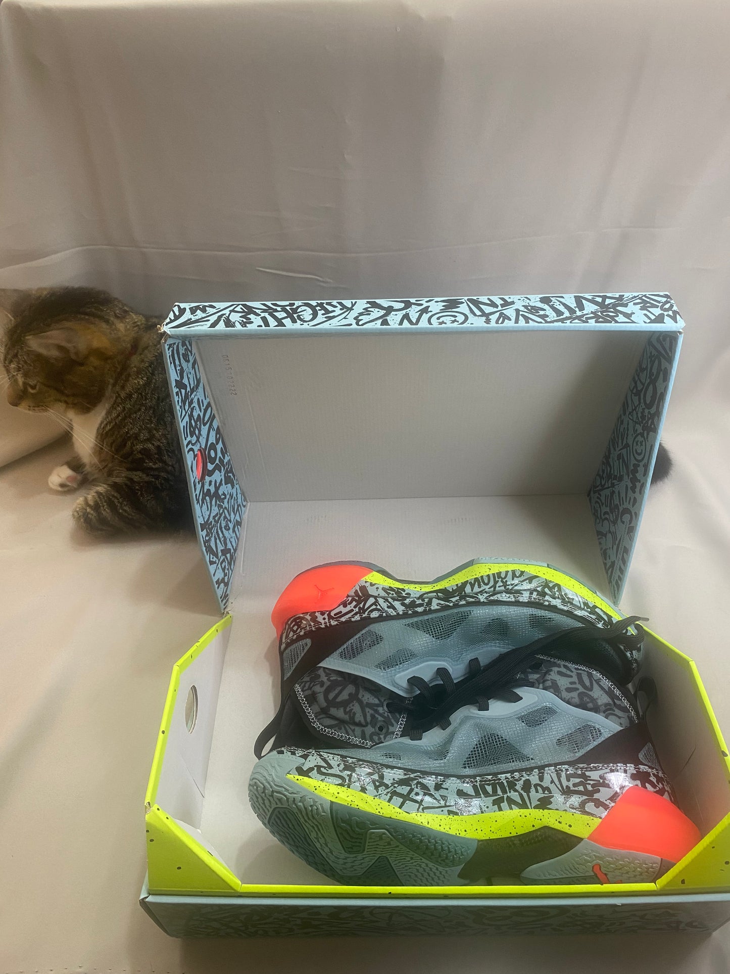 Satou Sabally x Wmns Air Jordan 37 'Grafitti'